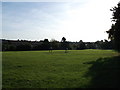 Millfield Road Recreational Ground, Sittingbourne