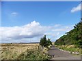 Track onto a brownfield site near Drumloch