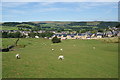 Sheep above Burbage