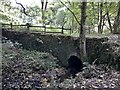 Bridge across footpath in Mellor