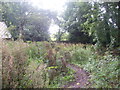 St Patricks Cemetery stones