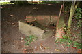 Cattle Trough and spring in Louth Park