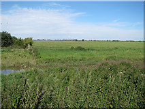 TL5089 : Ouse Washes by Hugh Venables
