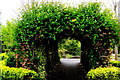 R4646 : Adare - Main Street (N21) - Adare Town Park - Vine-Covered Arch by Suzanne Mischyshyn
