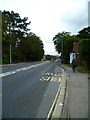 View east along The Avenue in Fareham from a bus stop