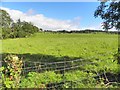 Envagh Townland