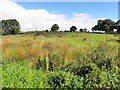 Envagh Townland