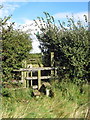 Stile through the hedge