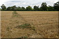 Bridleway to Crabtree Farm