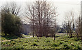 Probable site of Calne station, 1989