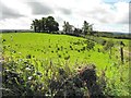 Envagh Townland