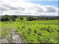 Envagh Townland