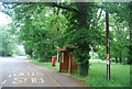 Bus stop, Guildford Rd