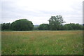 Meadow, Smithwood Common