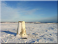 NT5861 : Trig point at summit of Meikle Says Law by Trevor Littlewood