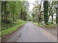 Road to Glenluce at Cruise Farm