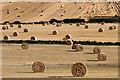 Harvest bales at Whitehillfoot