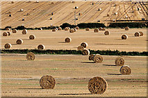 NT7129 : Harvest bales at Whitehillfoot by Walter Baxter