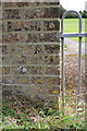 Benchmark on wall angle of cemetery, Weymouth Avenue