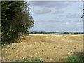 Farmland near Keysoe Row