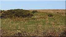 SS8039 : Moorland mound by Richard Webb