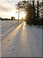 Low winter sun on Hay Lane