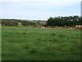 Farmland off the A6