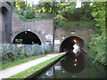 SP0585 : Worcester & Birmingham Canal: Edgbaston Tunnel (1) by Nigel Cox
