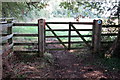 Bridleway to Forest Farm