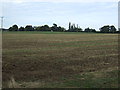 Farmland near North End