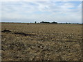 Farmland, Greensbury Farm