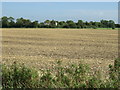 Farmland off St Neots Road