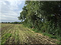 Field boundary off Little Staughton Road 