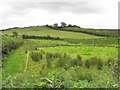 Doosky Townland