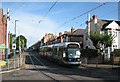 Tram at Gregory Boulevard