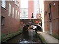 Birmingham & Fazeley Canal: Farmers Bridge Locks (3)