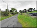 H8125 : Road at Lisnagreeve by Kenneth  Allen