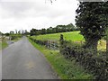 H7624 : Road at Annagh by Kenneth  Allen