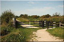 SK6237 : Grantham Canal towpath by Richard Croft