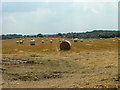 Straw Bales near Thorpe End