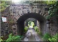 Twin-arched Railway Bridge over Gowhole Lane