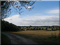 Stubble fields near North Docken Bush