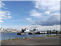 Tilbury Docks, Ships