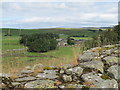 Cawfields Farm north of Hadrian