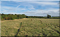 TQ5682 : Meadow in Cely Woods by Roger Jones