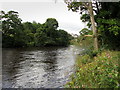 River Wharfe at Ben Rhydding