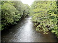 River Rhymney upstream from a footbridge, Bedwas