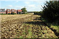 Path towards the new estate