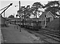S1390 : Passenger train in Roscrea station by The Carlisle Kid