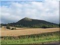 SO3119 : View of Skirrid Fawr across fields next to the A465 by David Gearing